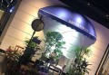 杭州富阳区渔山乡附近夜总会招聘商务礼仪,(好上班的不挑人)