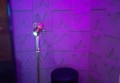 婚庆兼职招聘文案（婚礼筹备团队兼职招募启事）