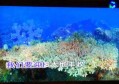 昆明地铁招聘文案图片（昆明地铁招聘海报展示）
